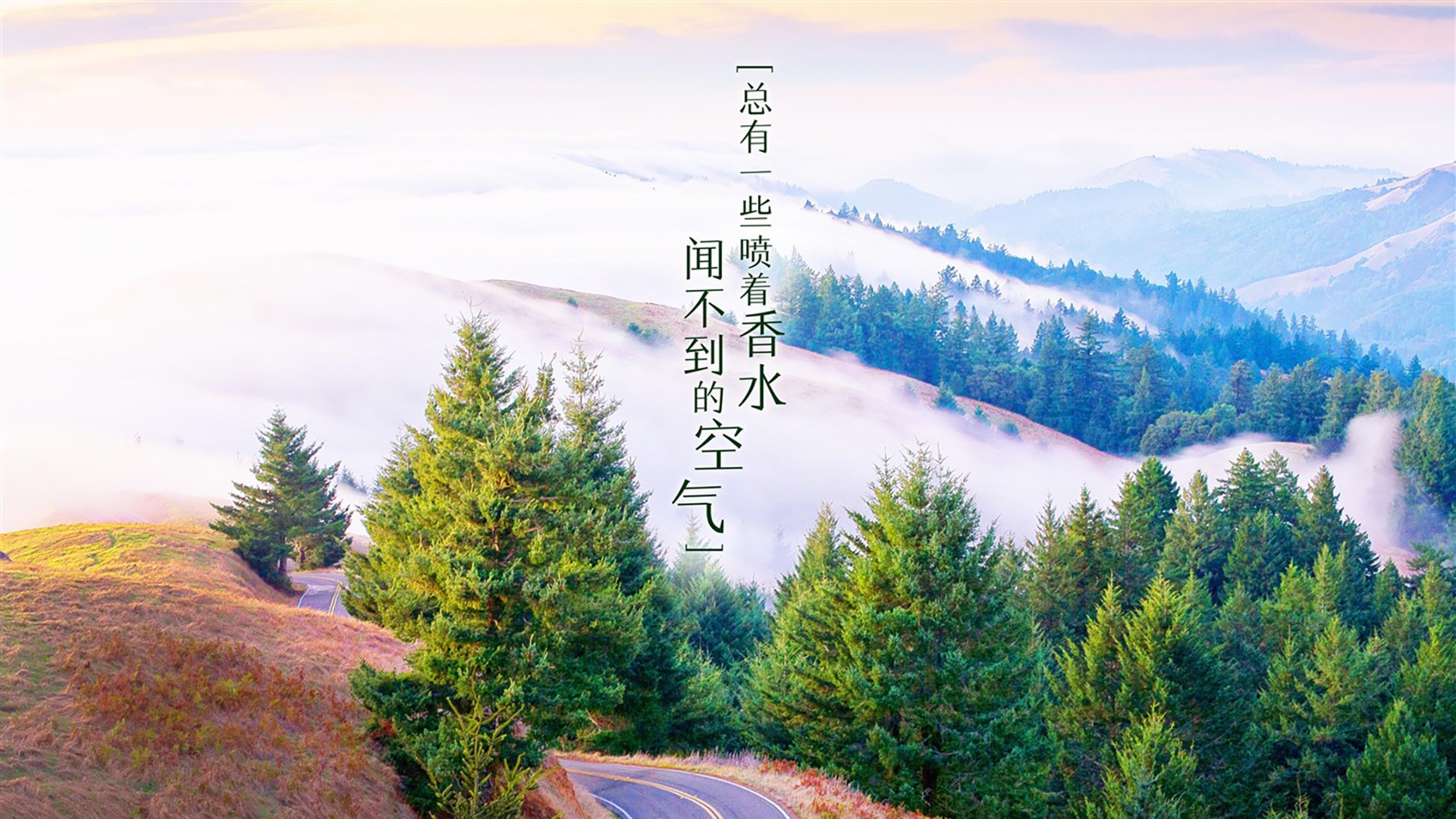 LeyuSports-足球赛事视频剪辑人才需求持续上升，剪辑足球视频需要版权吗