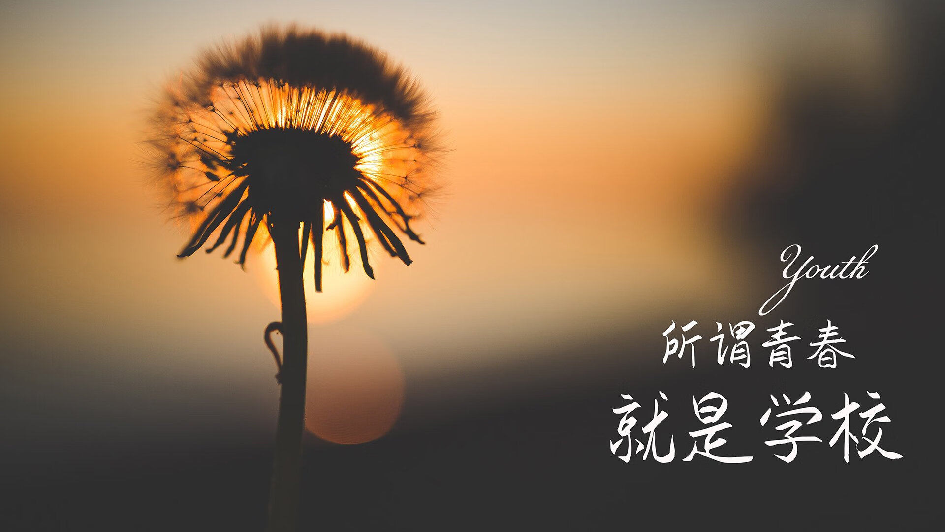 五大联赛是否应联合推动国际裁判新标准，五大联赛相互比赛吗