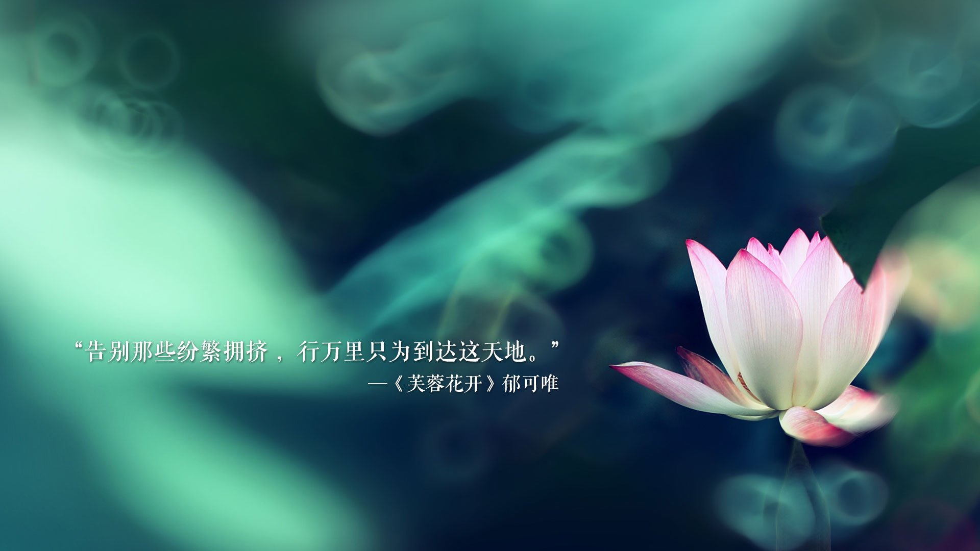 深圳领航队主力球员复出状态回暖，深圳领航篮球